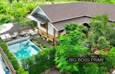 ปล่อยขาย พูลวิลล่า เชียงใหม่ (Pool Villa)