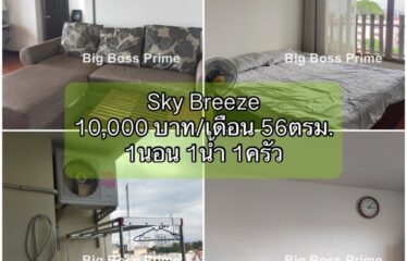 ปล่อยเช่า สกาย บรีซ คอนโด Sky Breeze Condominium (SKB)