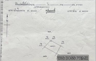 บ้านซิตี้โฮมเพอร์เฟคเฮาส์ 3.95 ล้านบาท ฟรีโอน (ฟลิบได้ 1 ปี :Flipping)