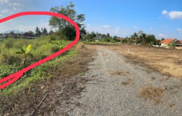 ขายด่วน! ที่ดินเปล่าทำเลสวย อ.จอมทอง เชียงใหม่ราคาเพียง 800,000 บาท