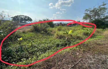 ขายด่วน! ที่ดินเปล่าทำเลสวย อ.จอมทอง เชียงใหม่ราคาเพียง 800,000 บาท