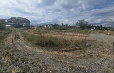 ขายด่วน! ที่ดินเปล่าทำเลสวย อ.จอมทอง เชียงใหม่ราคาเพียง 800,000 บาท